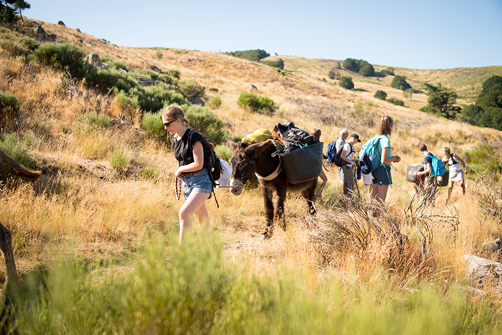 Découvrez les Cévennes en famille